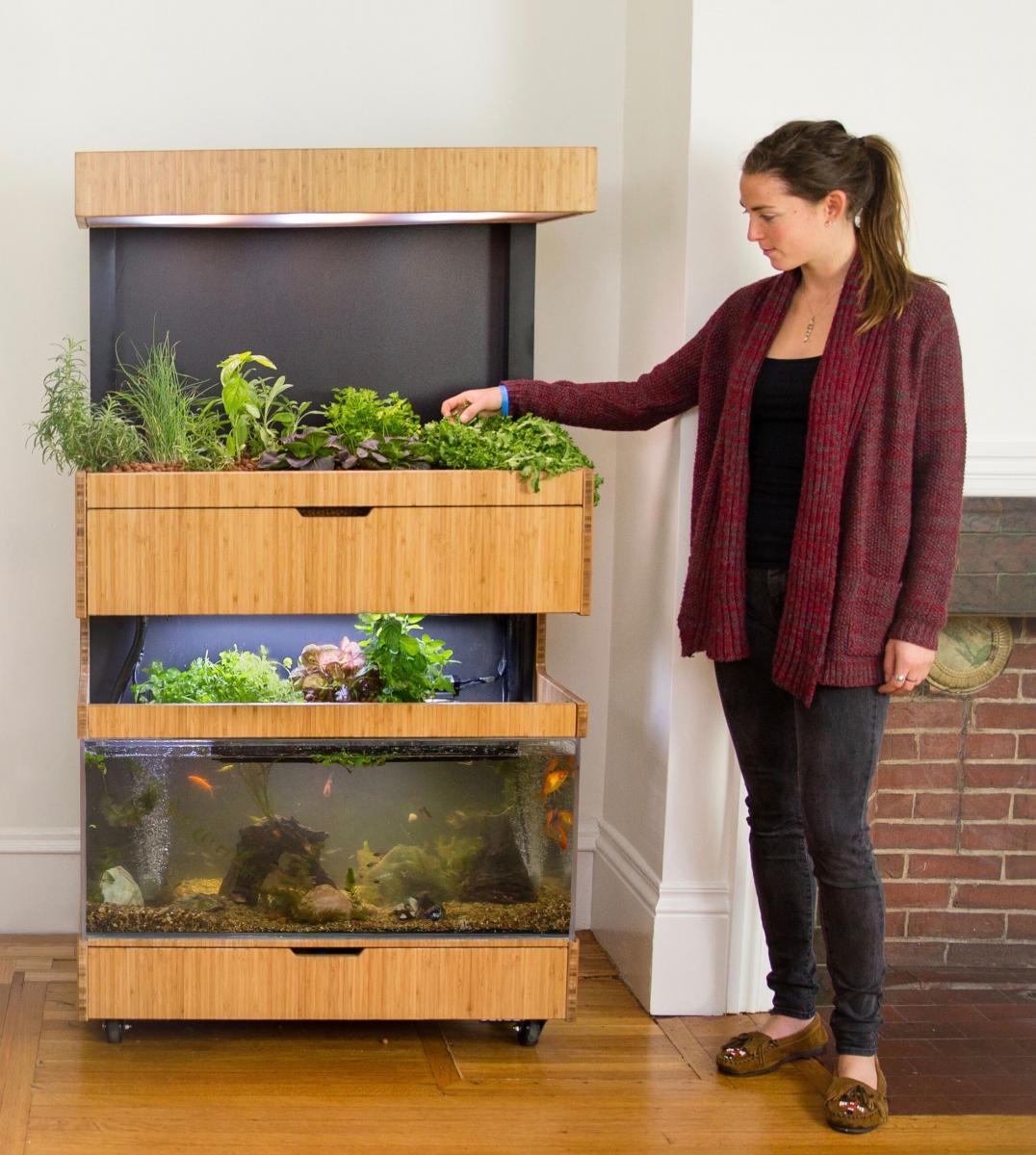 this somerville start up