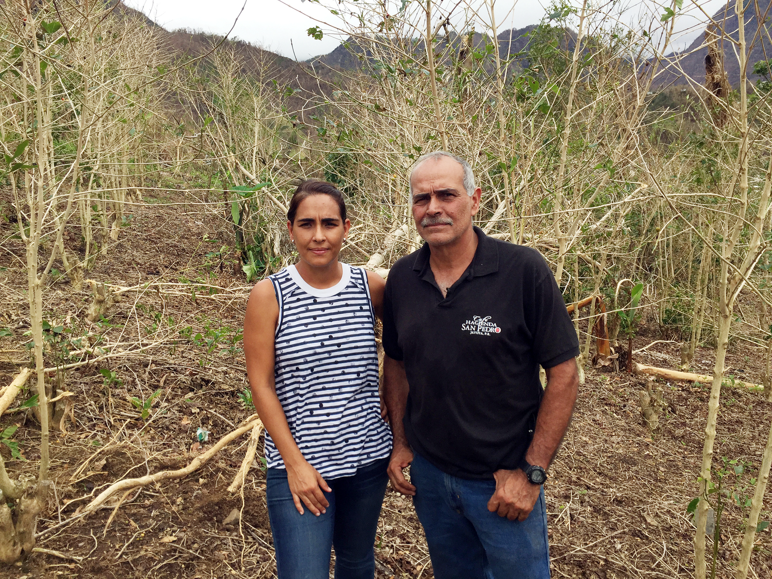 Rebecca Atienza and her father, Roberto, stand in a grove of decimated coffee trees. Hurricane winds stripped these trees nearly bare of leaves and beans. Rebecca Atienza and her father, Roberto, stand in a grove of decimated coffee trees. Hurricane winds stripped these trees nearly bare of leaves and beans.